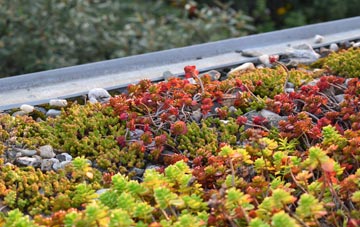 the cost of London Minstead green roof installation