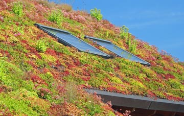 London Minstead living roof systems